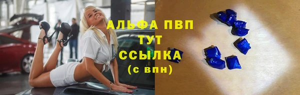спиды Билибино