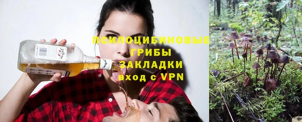 прущие грибы Алексеевка