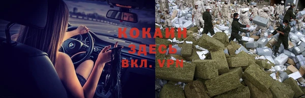 тгк Алзамай